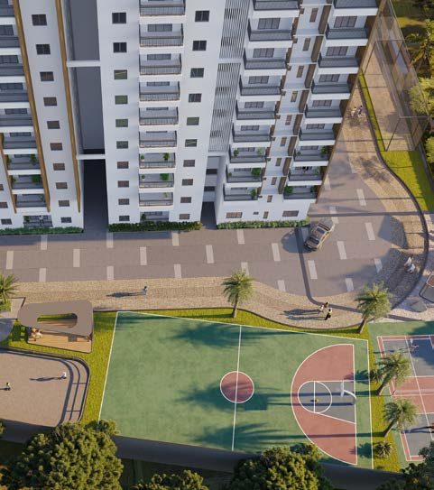Basketball & Sports Courts